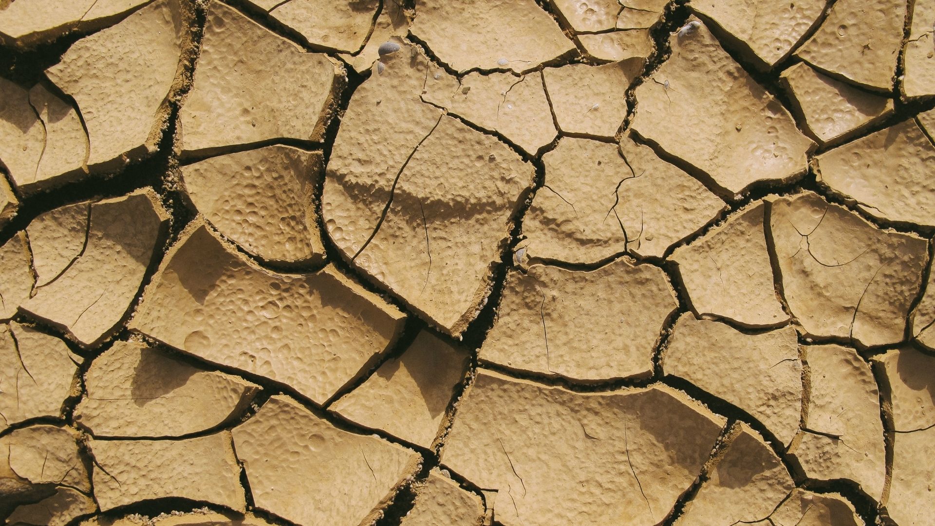 Enjeux climatiques et conflits : une lecture stratégique de la COP27