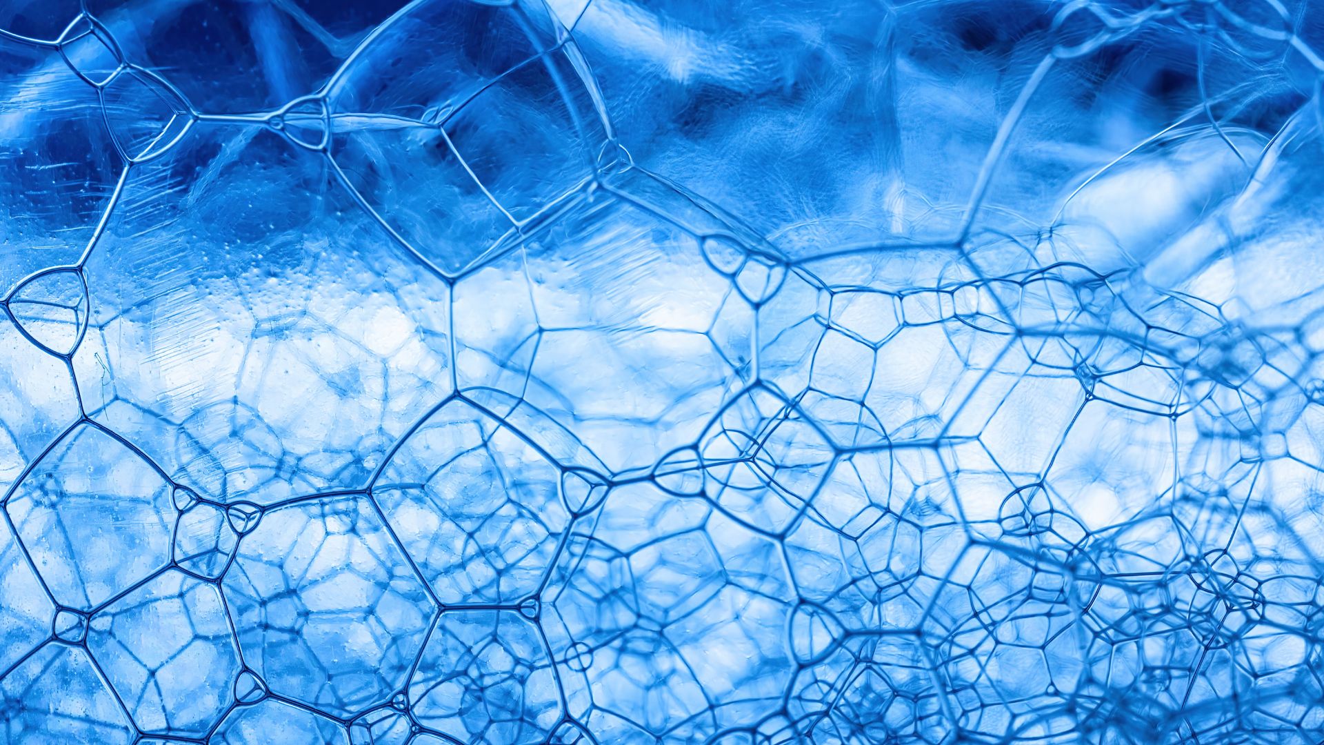 Plateformes alternatives et désinformation : Odyssee, un angle mort du Digital Service Act