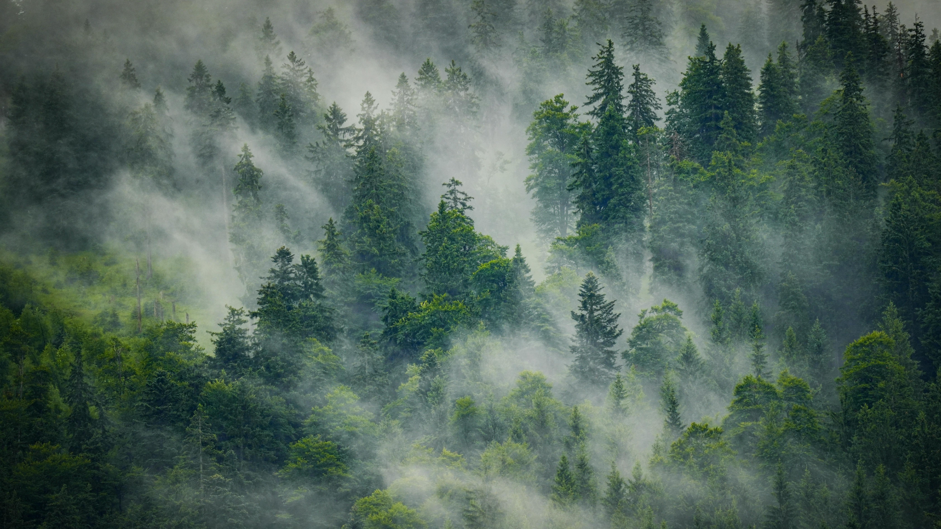 Penser la durabilité à l'ère de la préparation de la guerre
